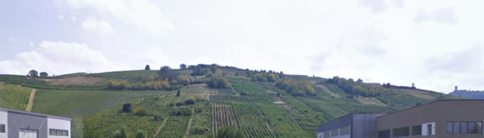 Barducco Tiziano – Cigognola (PV) Barducco Tiziano - Cigognola (PV)